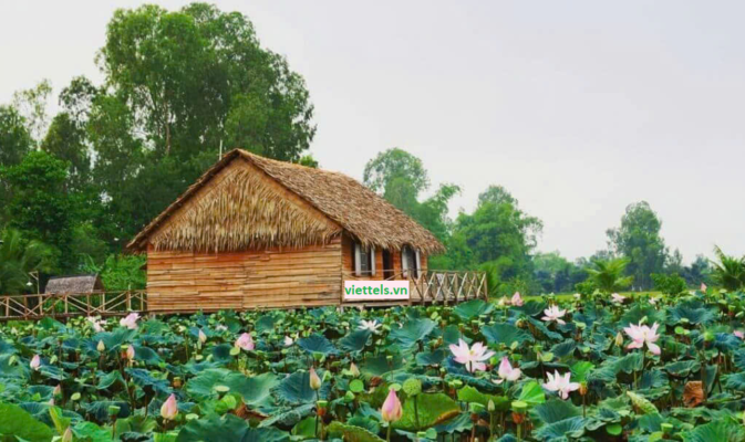 lắp mạng viettel long an